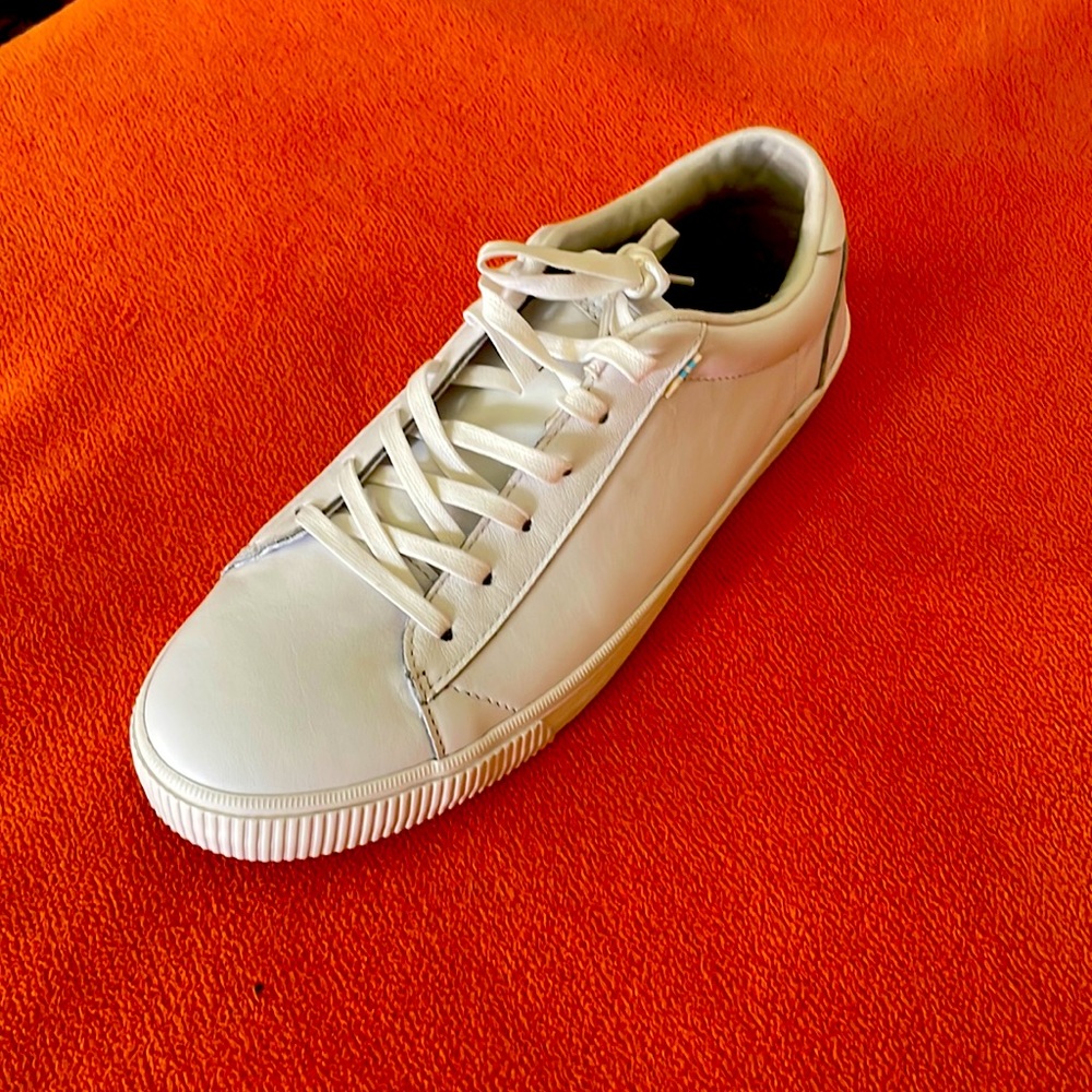 Brand new Toms sneakers!!